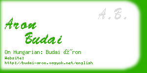 aron budai business card